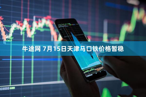 牛途网 7月15日天津马口铁价格暂稳
